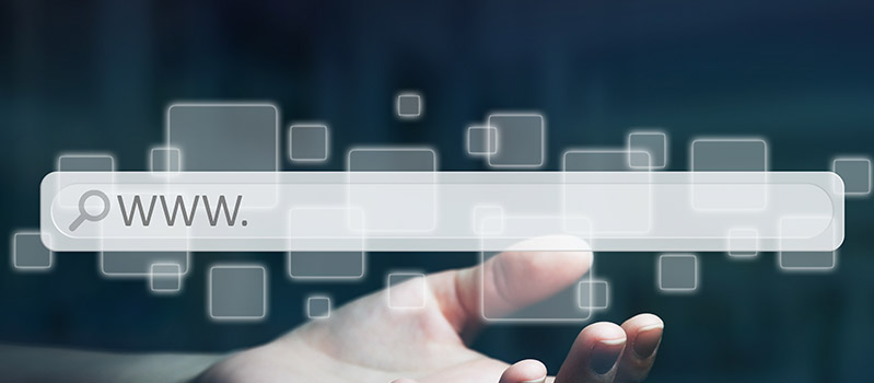 Domain & Hosting