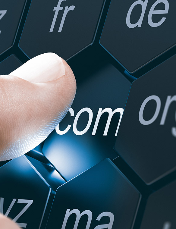 Domain & Hosting