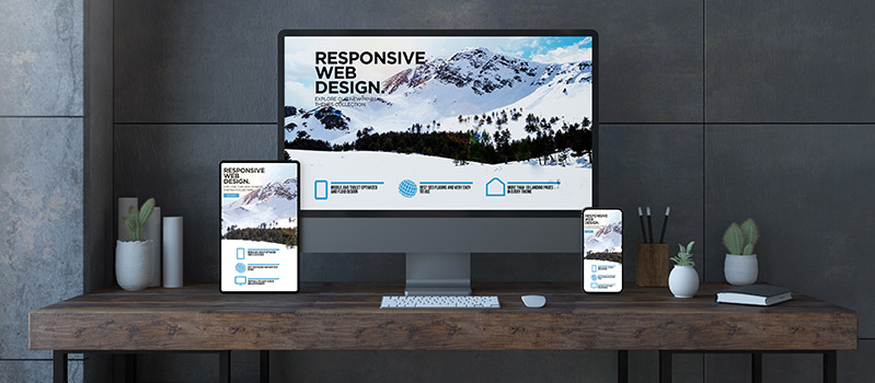 Web Tasarım